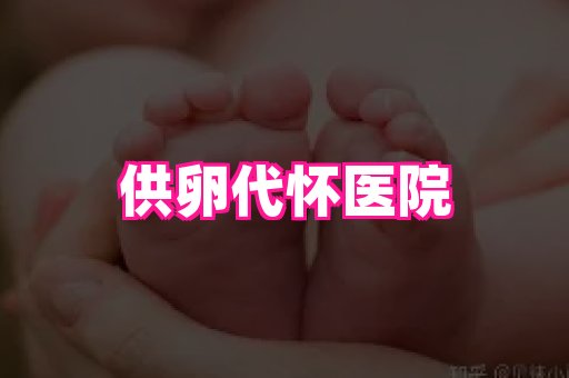 东莞助孕网站 1